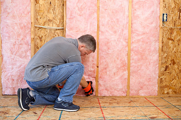 Best Geographic-Specific Insulation Services in Daniels, WV